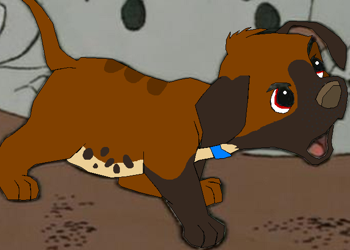 Nouka and Giulia fan pup