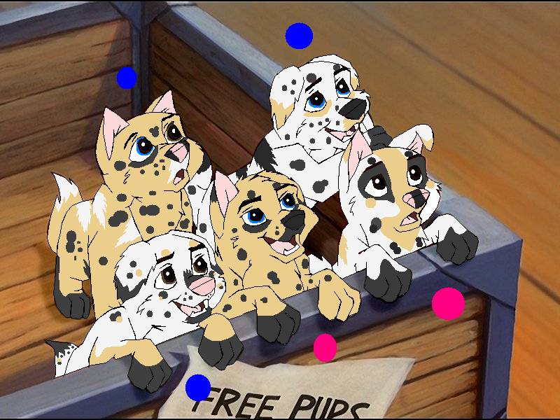 Don and Cora's pups 