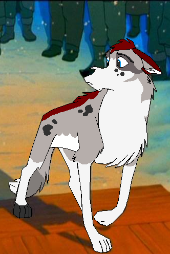 New pup for my entry for Whites Contest