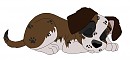 Inkspot and Nuk fan pup