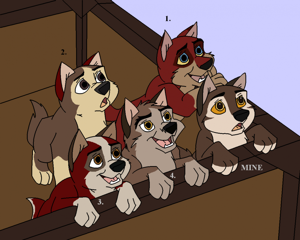 Balto and Jenna's Second litter