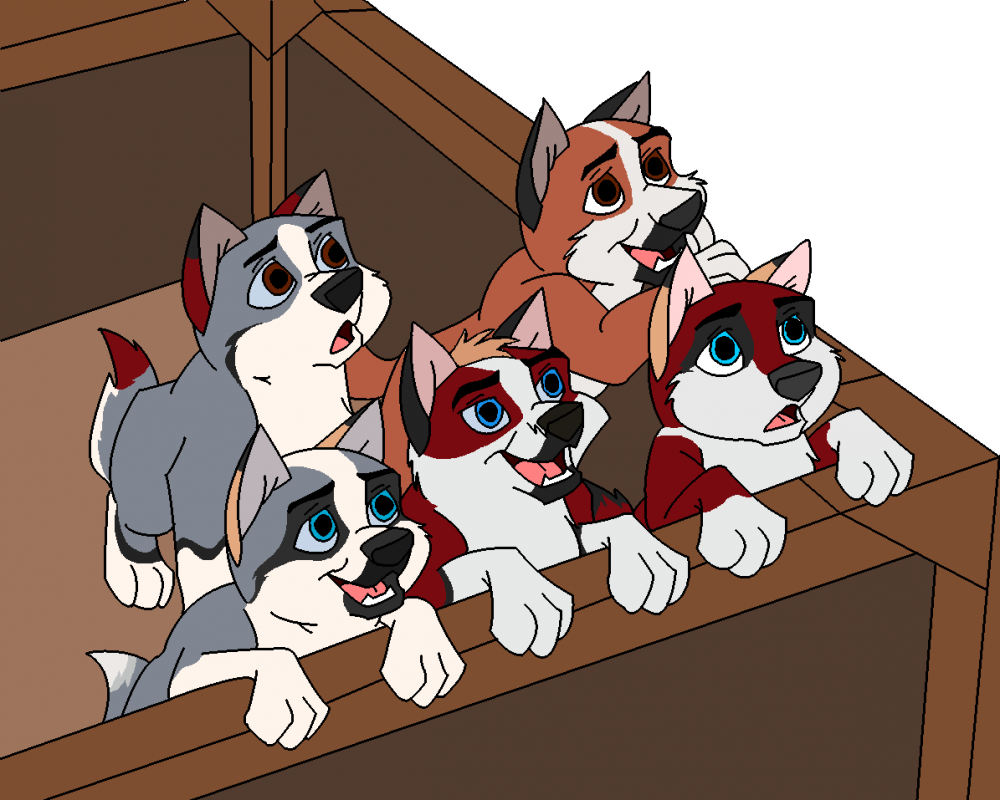 Leonida and Kamera fan pups
