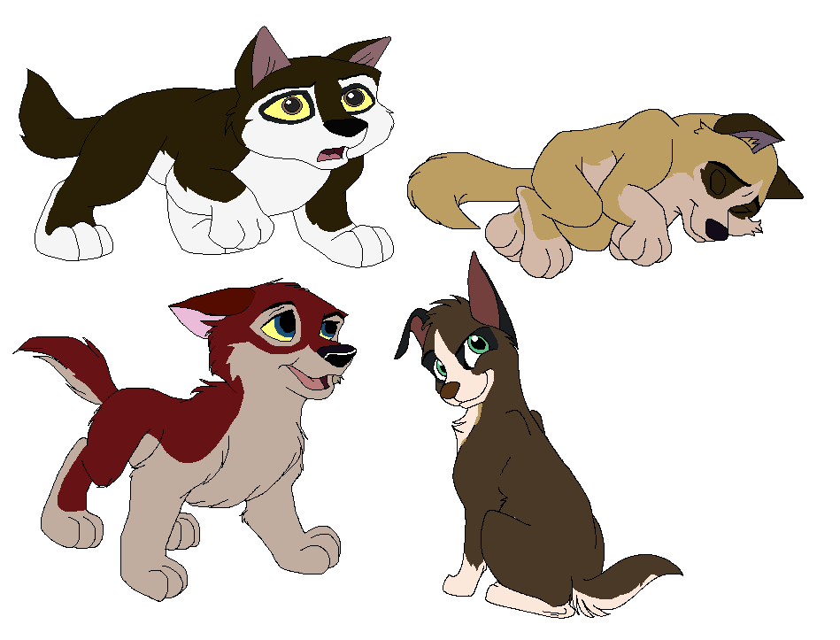 Alaya X Rusty Fan pups