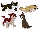 Alaya X Rusty Fan pups