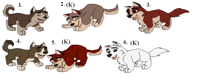 More BXJ fan pups 