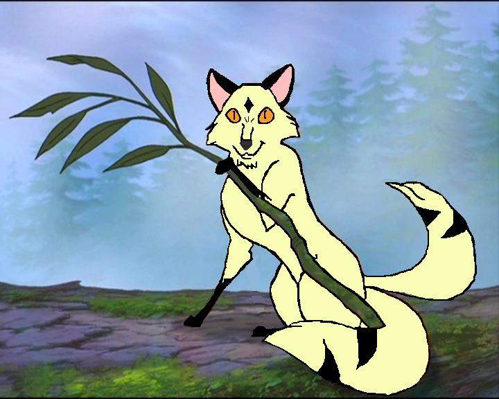 Its kirara everyone.   