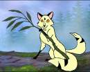 Its kirara everyone.   