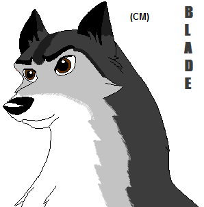 Blade