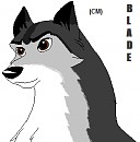 Blade