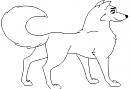 Blank render