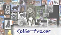 collie_tracer