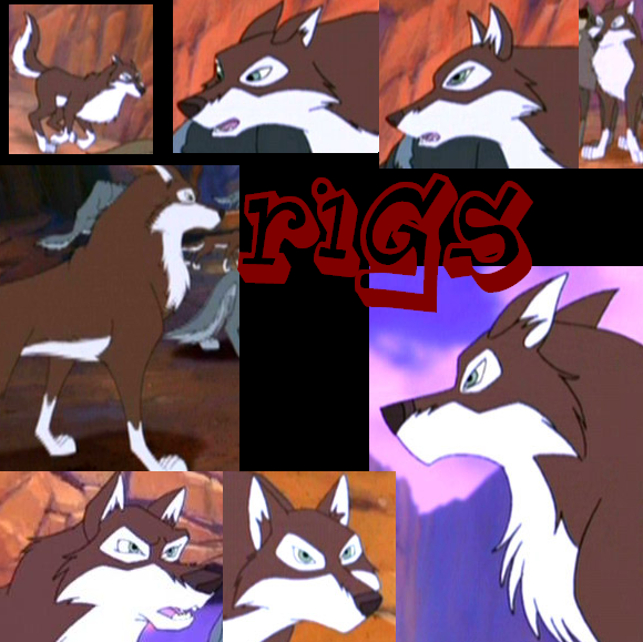 Rigs