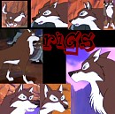 Rigs