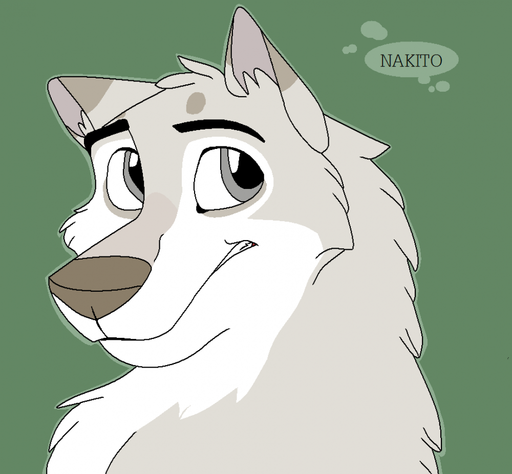 nardkito