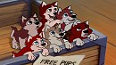 My version of baltos pups