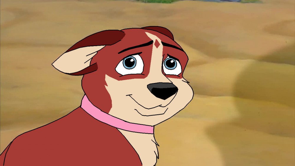 Puppy Evie