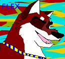 Gifty