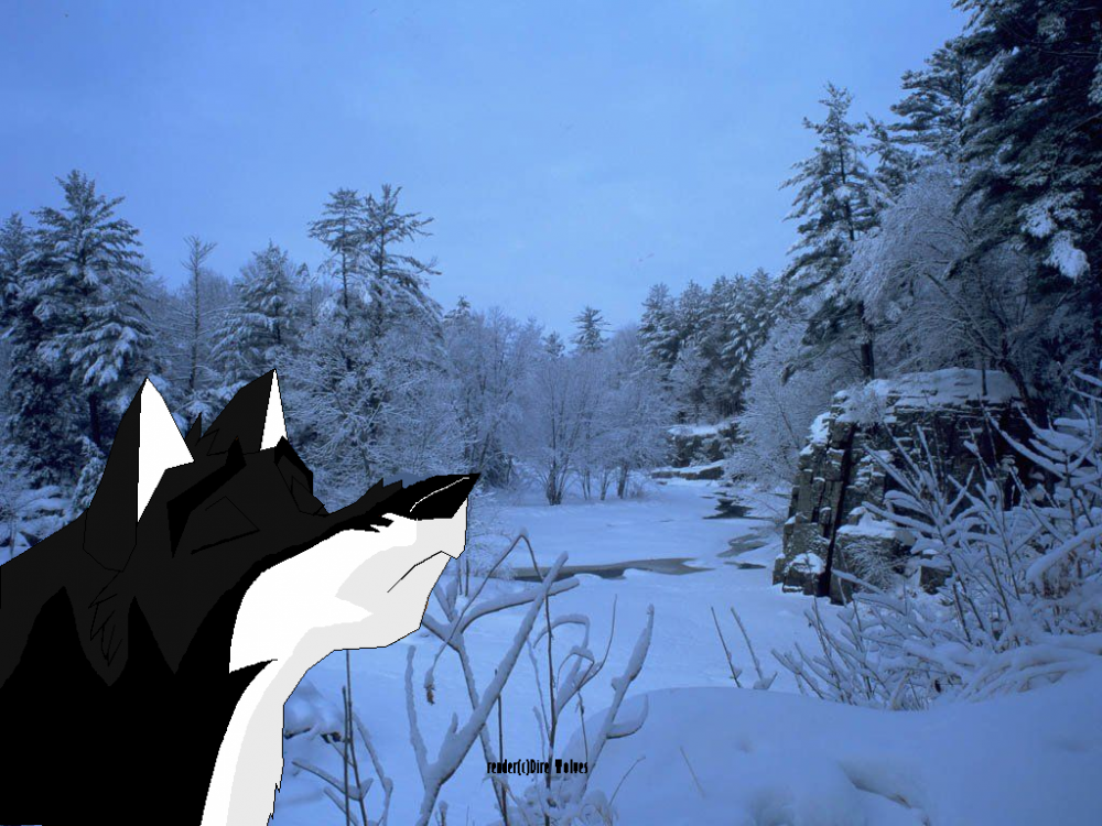 Late Gift for BaltoSimba16