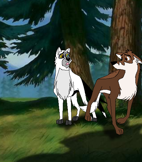 Bandit and Chuck's new desighn