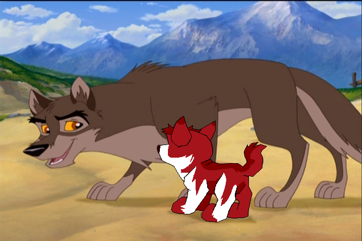 Balto and Saber (Kodi's Son)