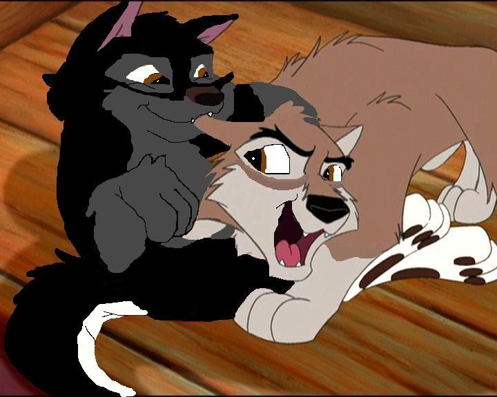 shadow and balto pup