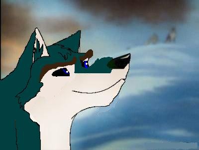falcon spying on other wolves
