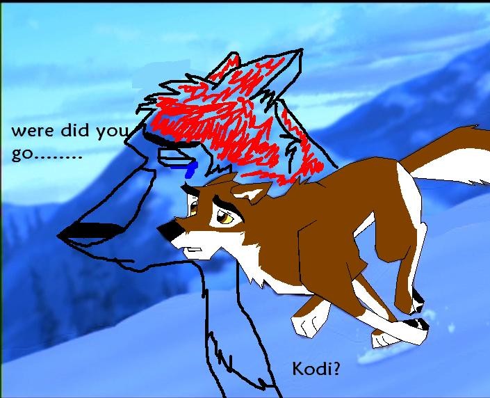 Were Did You Go.....Kodi?