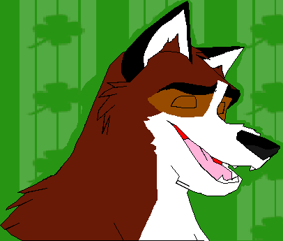 My Avatar(Also my Fursona)