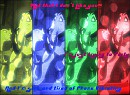 Balto - Telephone