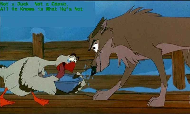 Not a Duck, not a Goose..