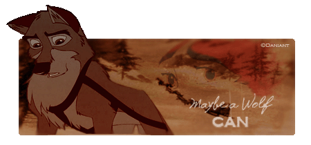 Maybe a Wolf CAN