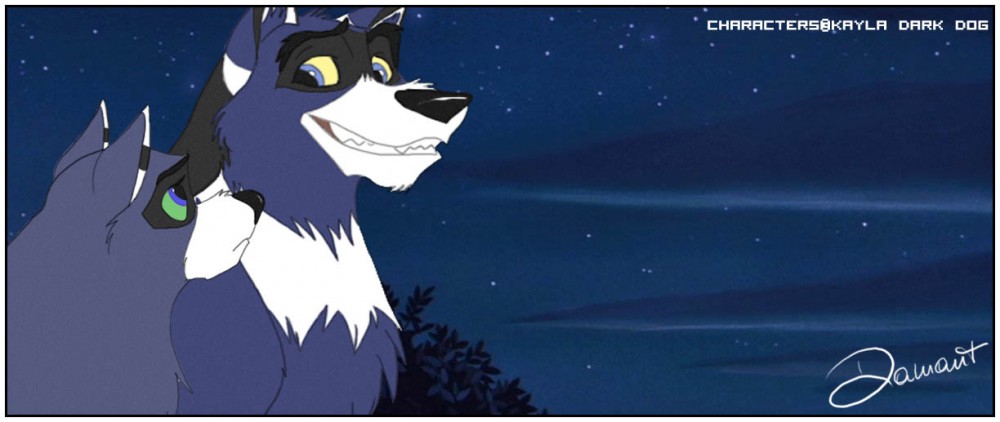 Request for Kayla Dark Dog