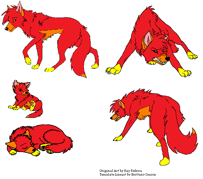 Many faces of Flara