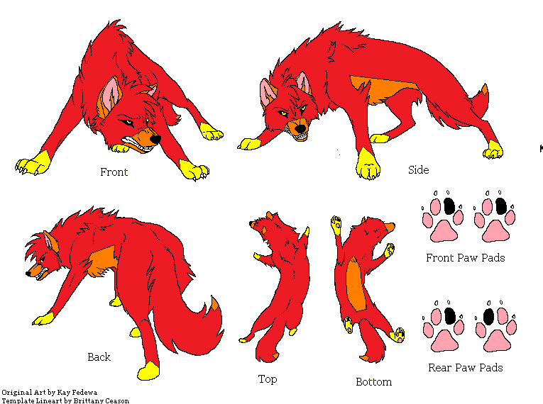 Adult Flara