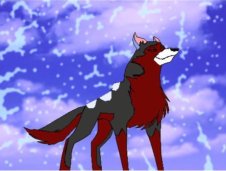 Amaya