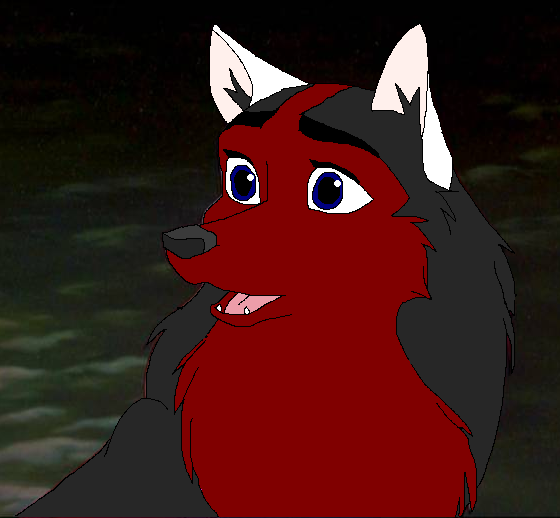 Akita