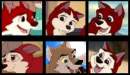 Balto and Jenna's puppies