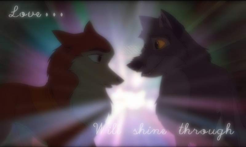 Love will shine through