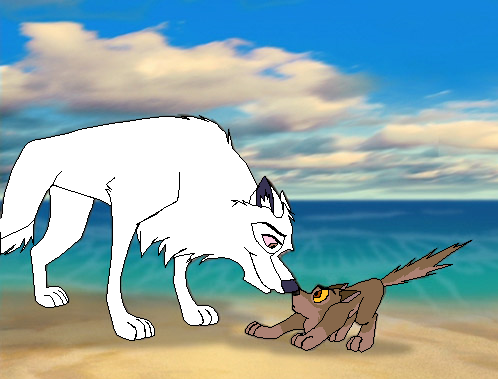 Balto & Aniu