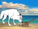 Balto & Aniu