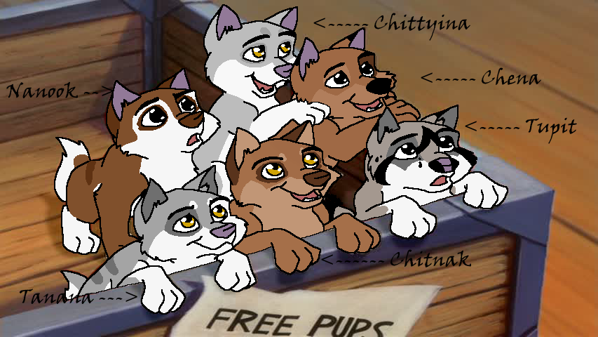 Adoptables