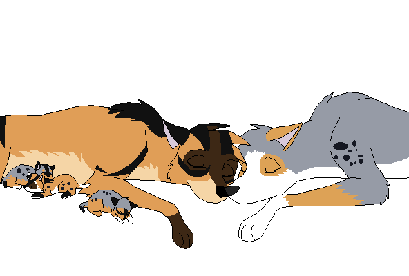 Alvita and Arayo...PUPPIES? OMG