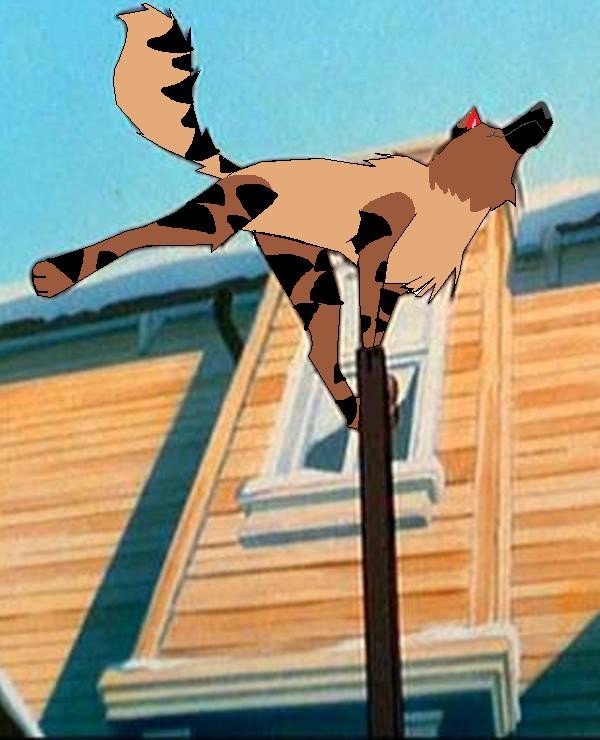Apache the studied leaper 