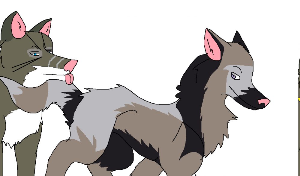 Momentum and Anthro..AGAIN