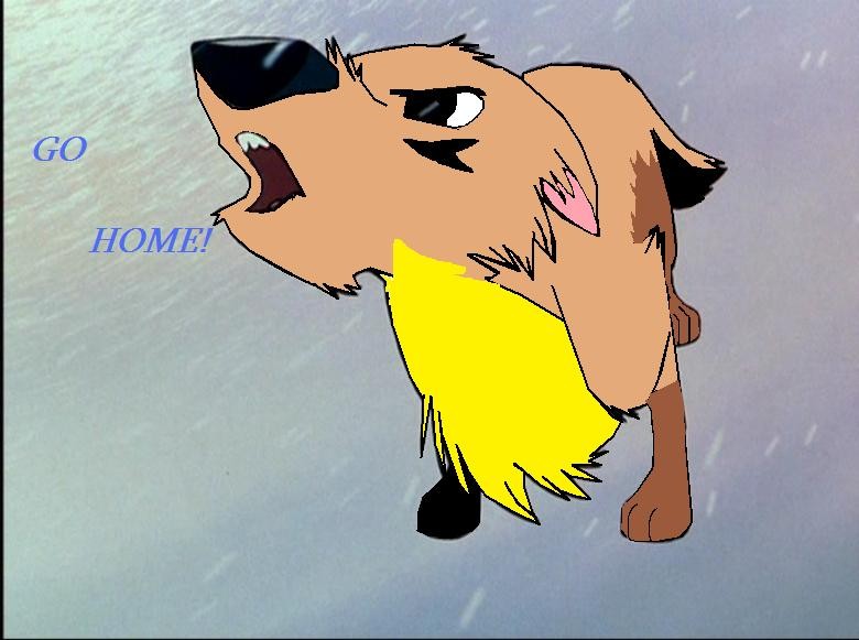 Go Home!