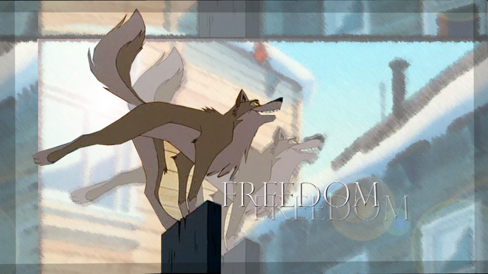 Freedom