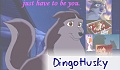 DingoHusky