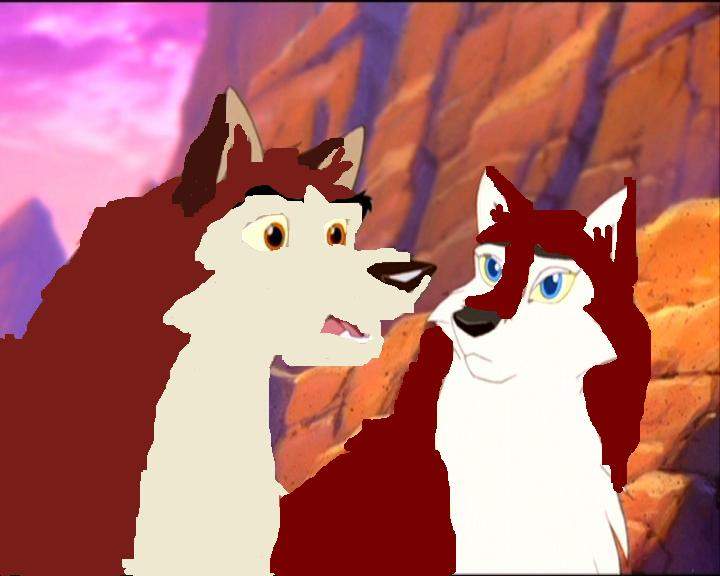 Dingo and Belle