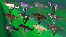 OMG More adoptables!!!:)
