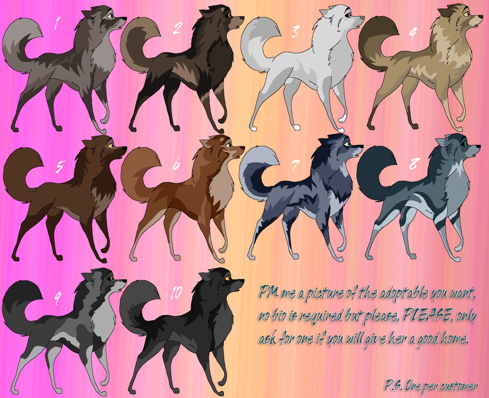 Adoptables